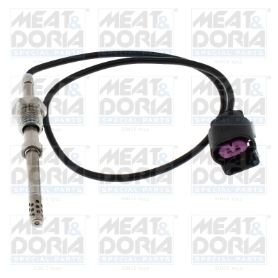 Sensor, exhaust gas temperature